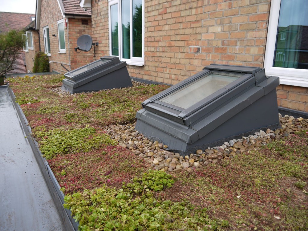 An Extension Improved! - Green Roofs Naturally | Otley