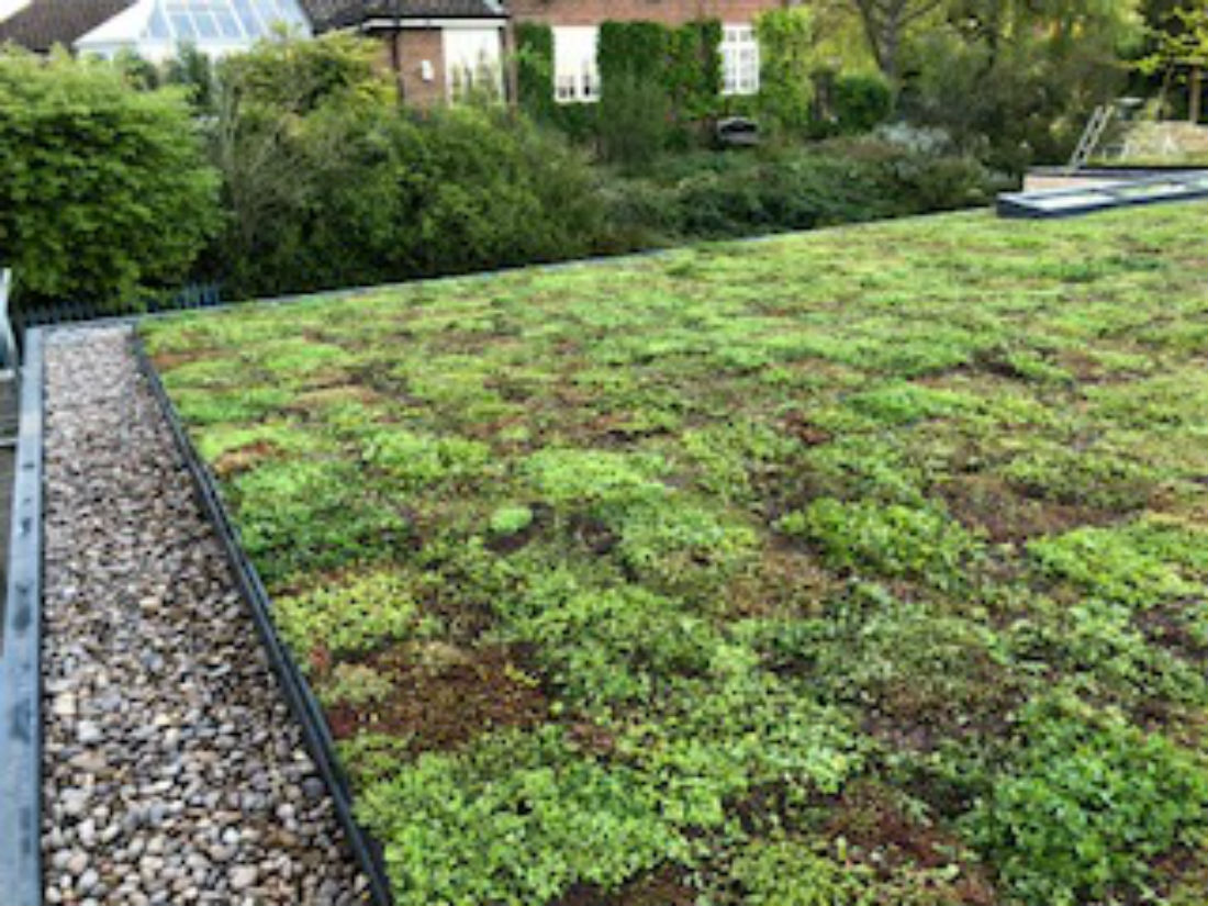 A lovely big new build sedum roofed house Green Roofs Naturally Otley