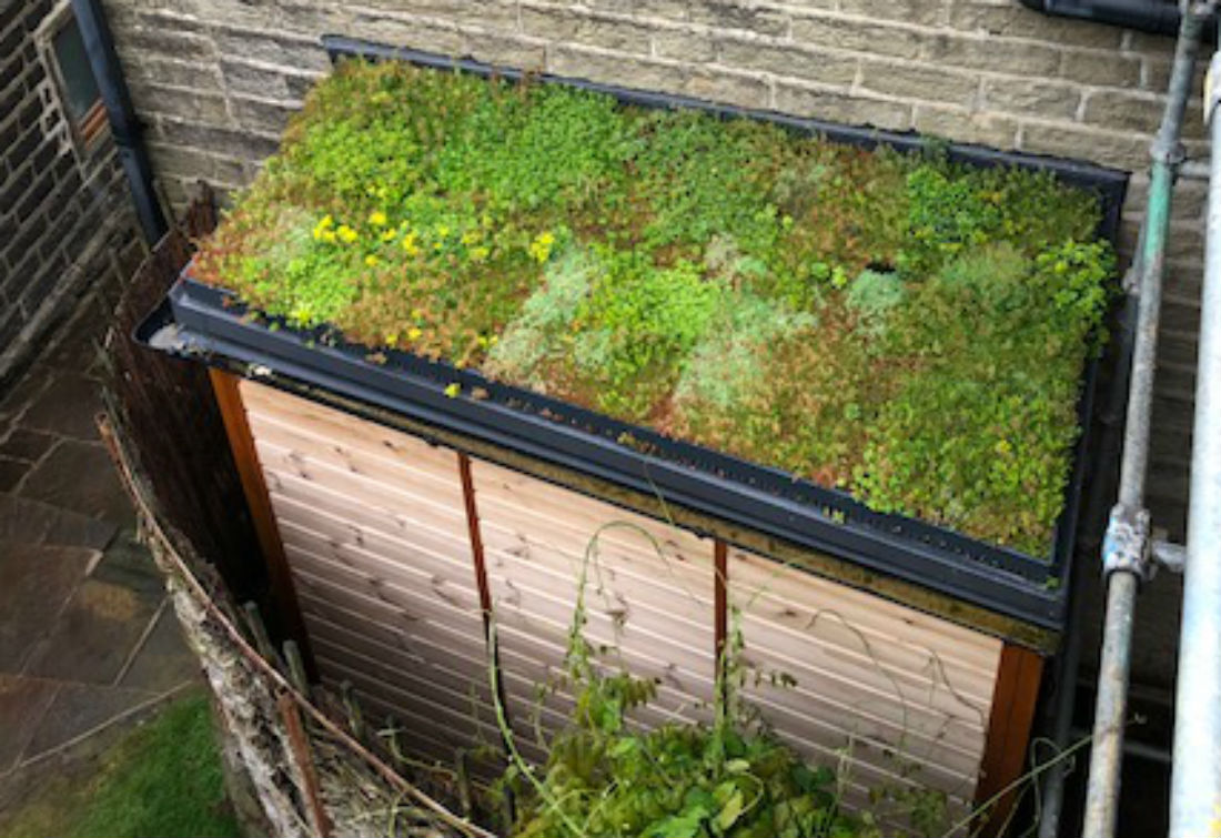 Matching Extension & Bin Store Green Roofs Naturally Otley